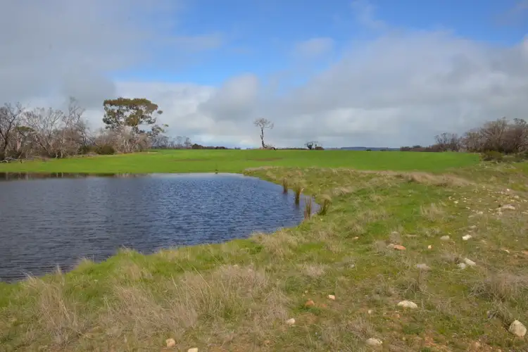 Main view of Homely rural property listing, Lot 50 Millers Road, Menzies SA 5223