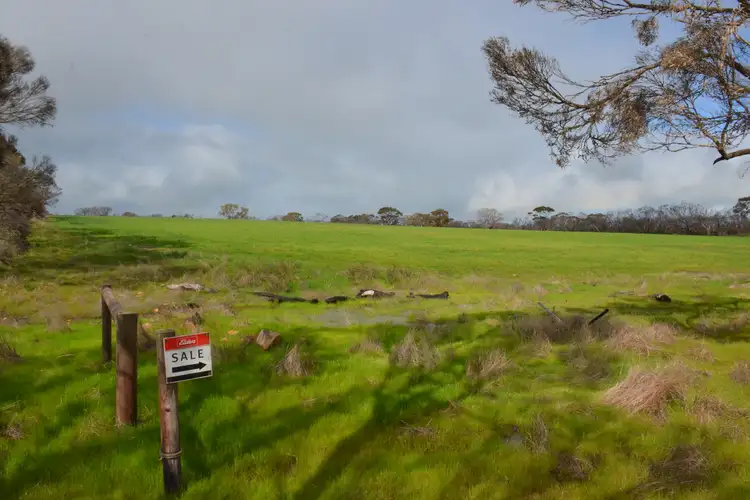 Second view of Homely rural property listing, Lot 50 Millers Road, Menzies SA 5223