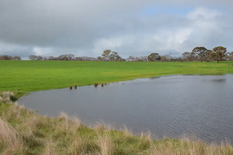 Third view of Homely rural property listing, Lot 50 Millers Road, Menzies SA 5223