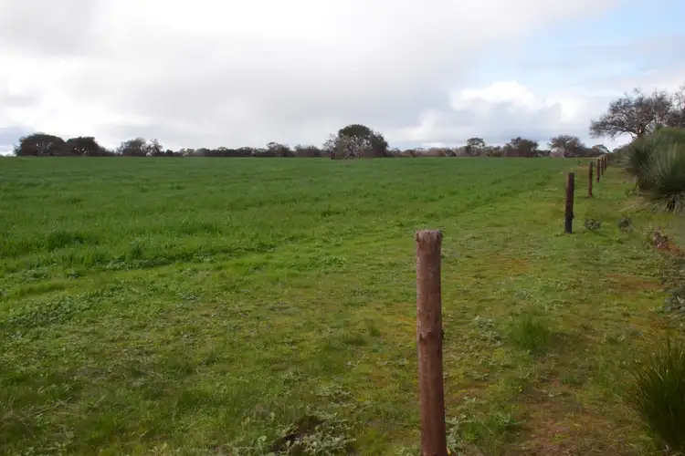Fifth view of Homely rural property listing, Lot 50 Millers Road, Menzies SA 5223