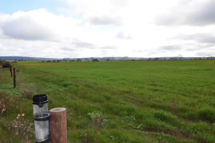Sixth view of Homely rural property listing, Lot 50 Millers Road, Menzies SA 5223