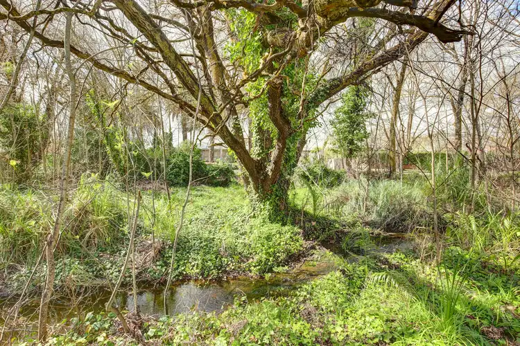 Sixth view of Homely land listing, LOT 52 Auricht Road, Hahndorf SA 5245