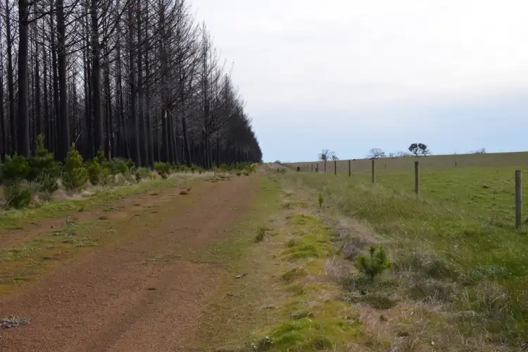 Third view of Homely rural property listing, 741 Stokes Bay Road, Duncan SA 5223