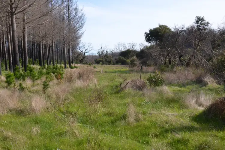 Fifth view of Homely rural property listing, 741 Stokes Bay Road, Duncan SA 5223