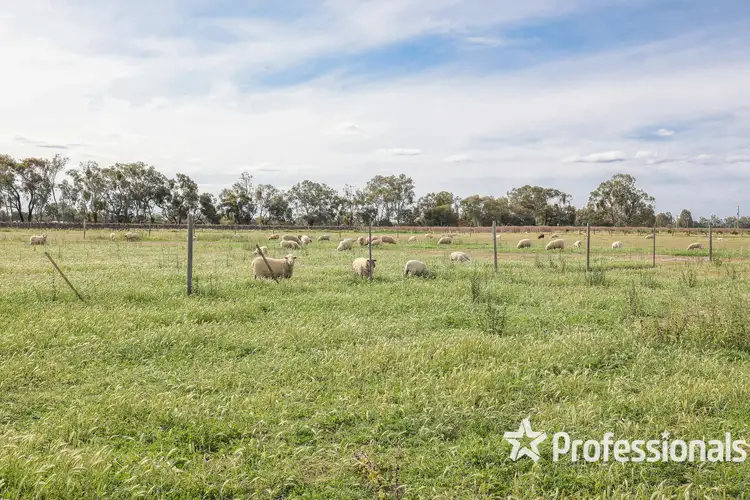Seventh view of Homely rural property listing, LOT 17 Memorial Road, Curlwaa NSW 2648