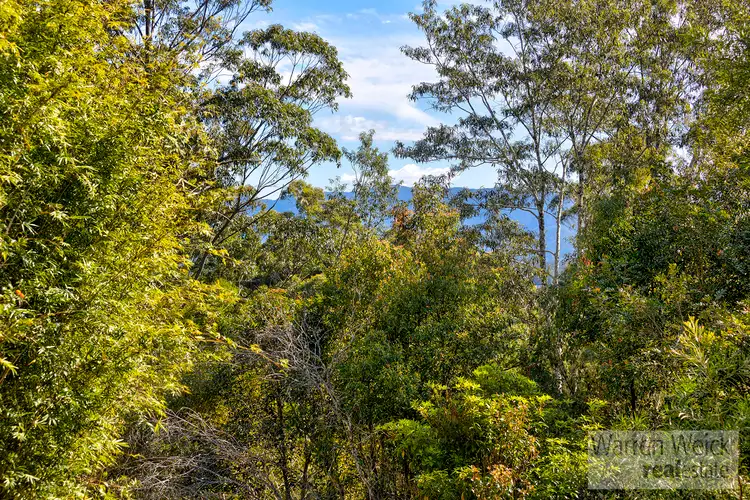 Fifth view of Homely rural property listing, 20 Bennett Road, Bellingen NSW 2454