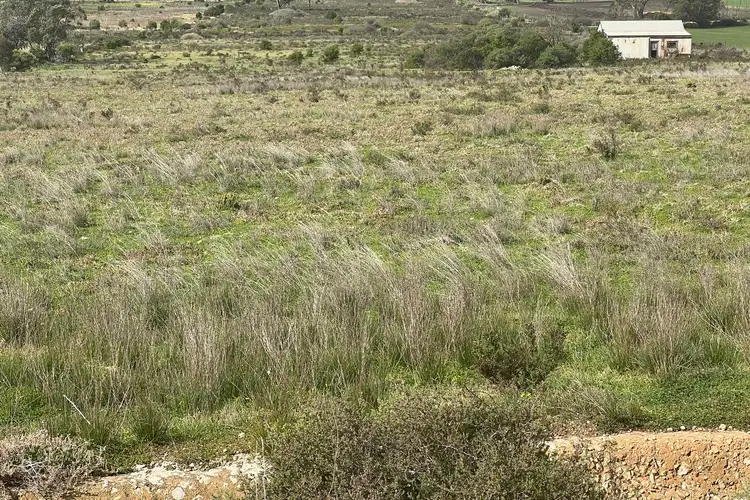 Third view of Homely land listing, Lot 3 Martin Road, Wall Flat SA 5254