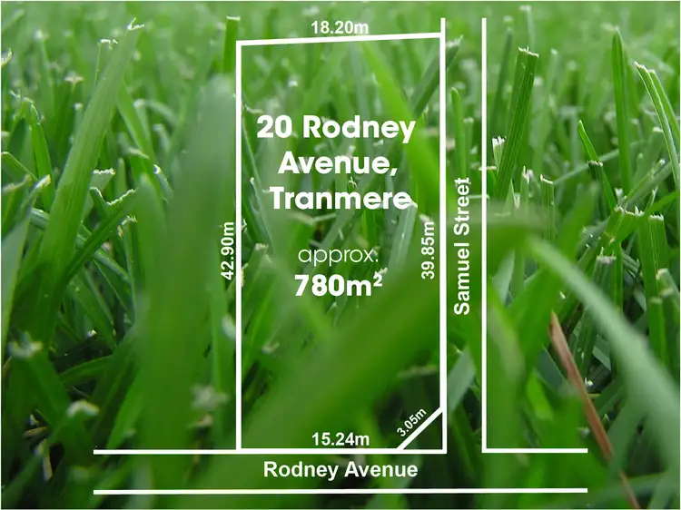 Main view of Homely house listing, 20 Rodney Avenue, Tranmere SA 5073