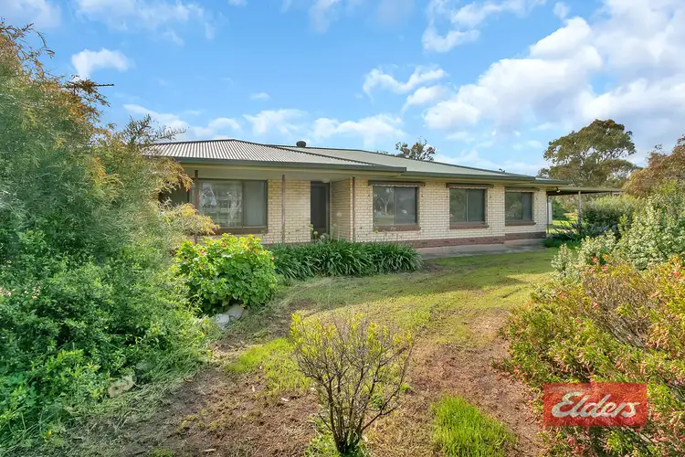 Fourth view of Homely house listing, 44 Gartrell Street, Roseworthy SA 5371