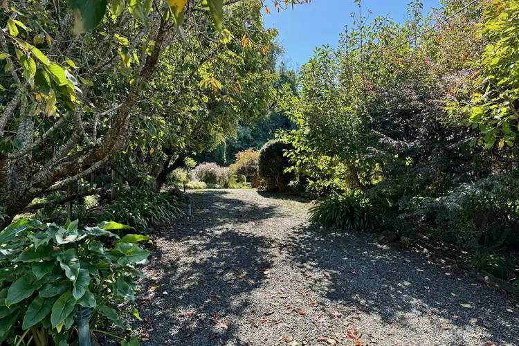 Fifth view of Homely house listing, 155 Carrington Road, Beaumont NSW 2577