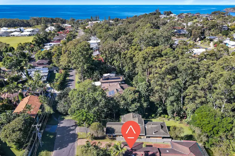 4 Norman Hill Drive, Korora NSW 2450