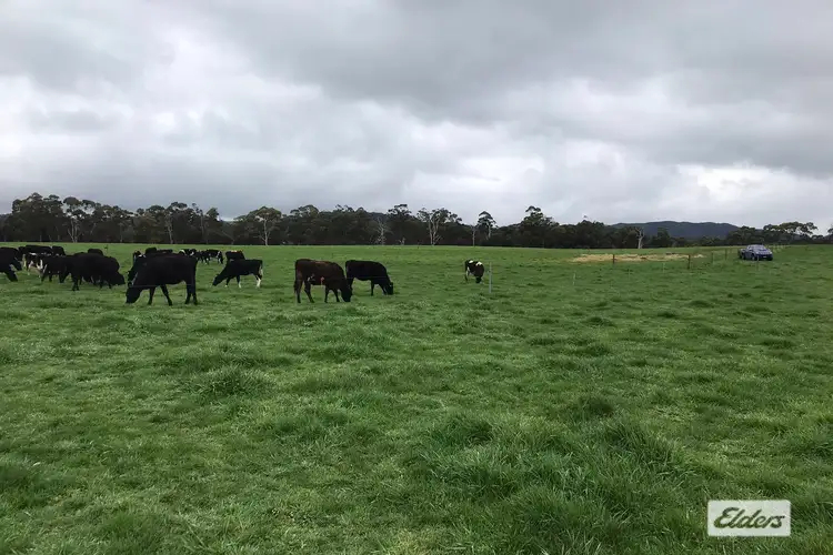 183 Loosemores Road, Hellyer TAS 7321