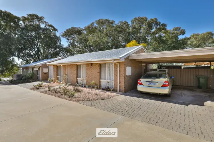 Main view of Homely unit listing, 5/221-223 Adams Street, Wentworth NSW 2648