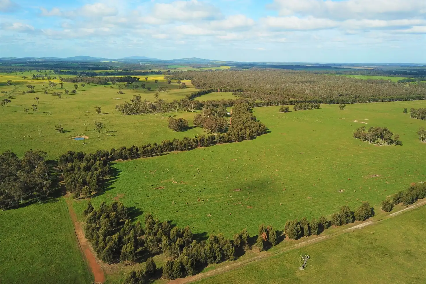 Main view of Homely rural property listing, 582 Mitchell Road, Mount Barker WA 6324