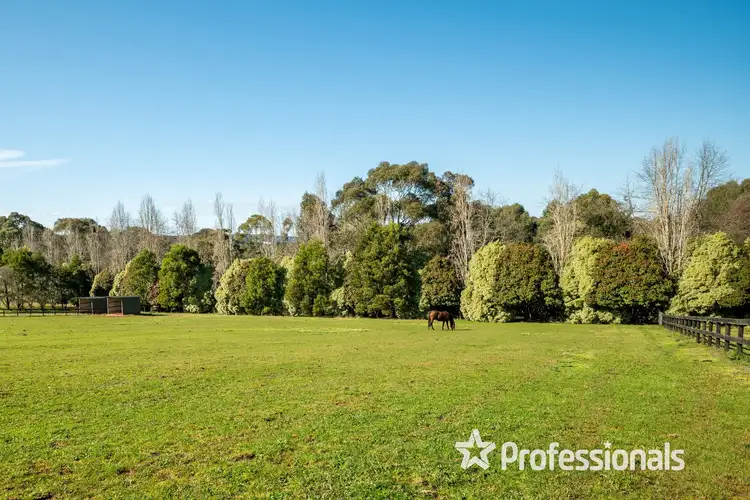 Third view of Homely house listing, 60 Falls Road, Hoddles Creek VIC 3139