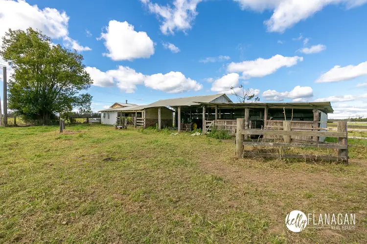 Sixth view of Homely rural property listing, 1653 Belmore River Right Bank Road, Belmore River NSW 2440