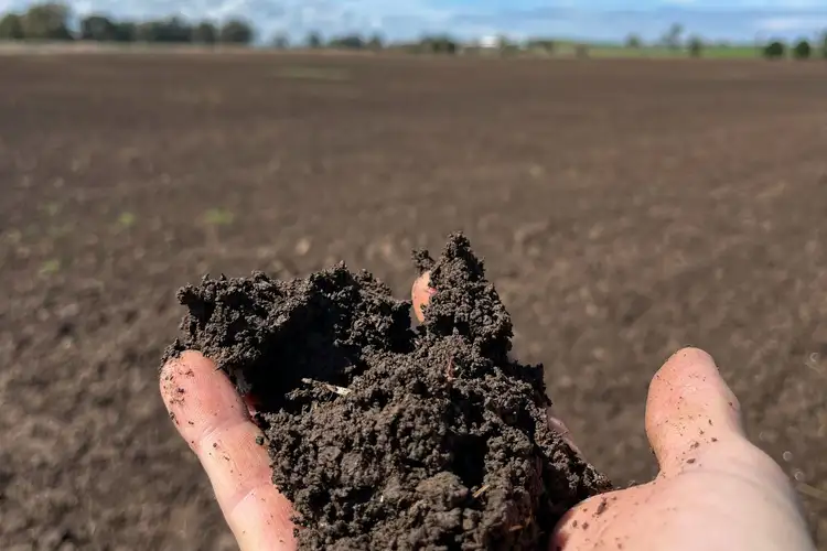 Second view of Homely rural property listing, Settlement Bridge Road, Canowindra NSW 2804