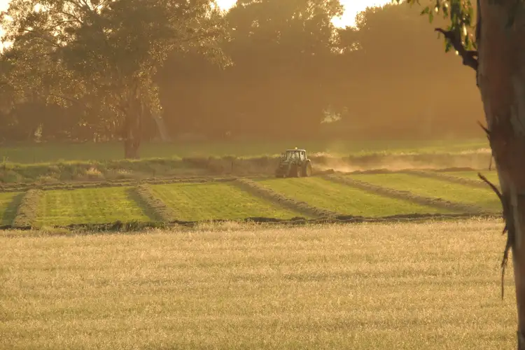 Third view of Homely rural property listing, Settlement Bridge Road, Canowindra NSW 2804