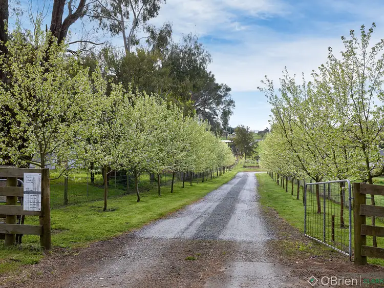 Main view of Homely land listing, 19 Dyall Road, Drouin VIC 3818