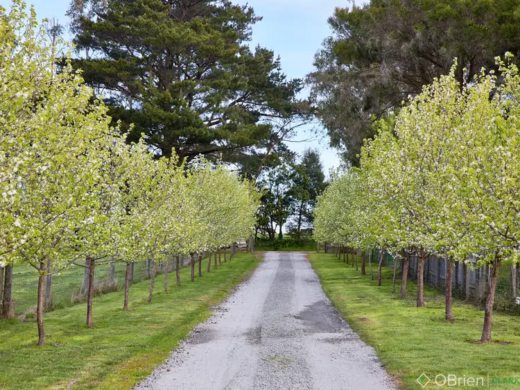 Second view of Homely land listing, 19 Dyall Road, Drouin VIC 3818