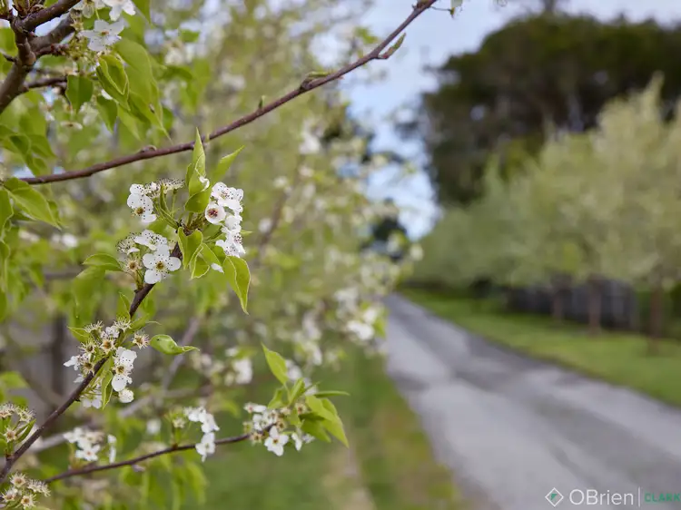 Third view of Homely land listing, 19 Dyall Road, Drouin VIC 3818