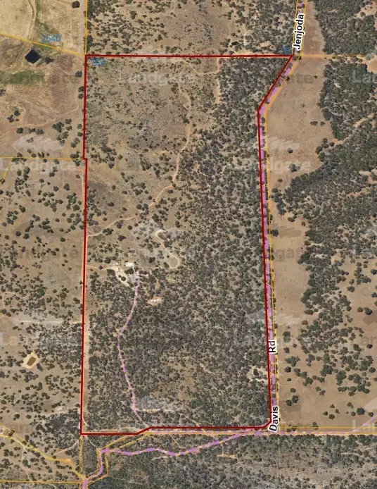 Main view of Homely rural property listing, 167 Davis Road, Lower Chittering WA 6084