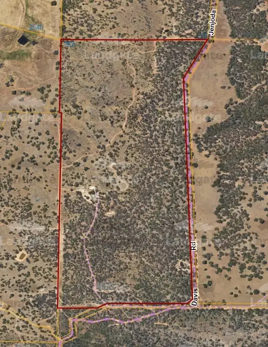 Main view of Homely rural property listing, 167 Davis Road, Lower Chittering WA 6084