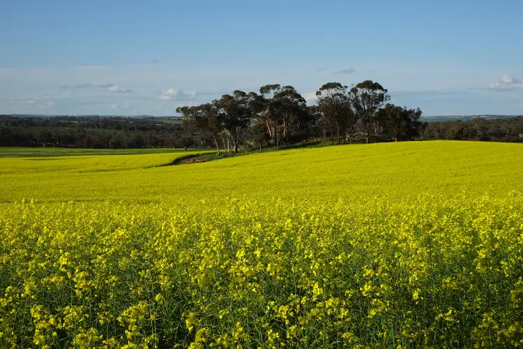 Third view of Homely rural property listing, 532 Popanyinning West Road, Popanyinning WA 6309