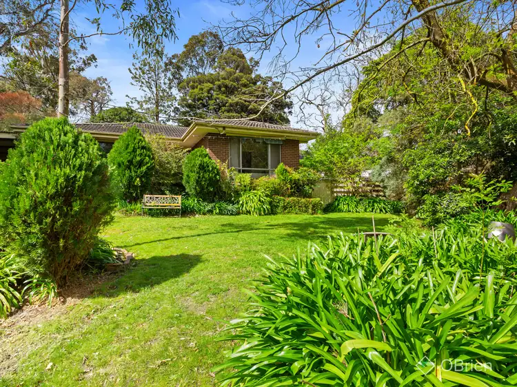 8 Lansell Close, Ringwood North VIC 3134