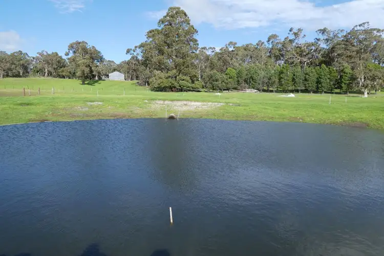 Seventh view of Homely rural property listing, 363 Morande Road, Narrikup WA 6326