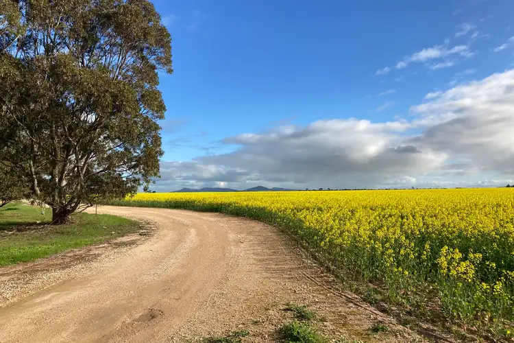Second view of Homely rural property listing, Piece 42 Settlers Road, Cummins SA 5631