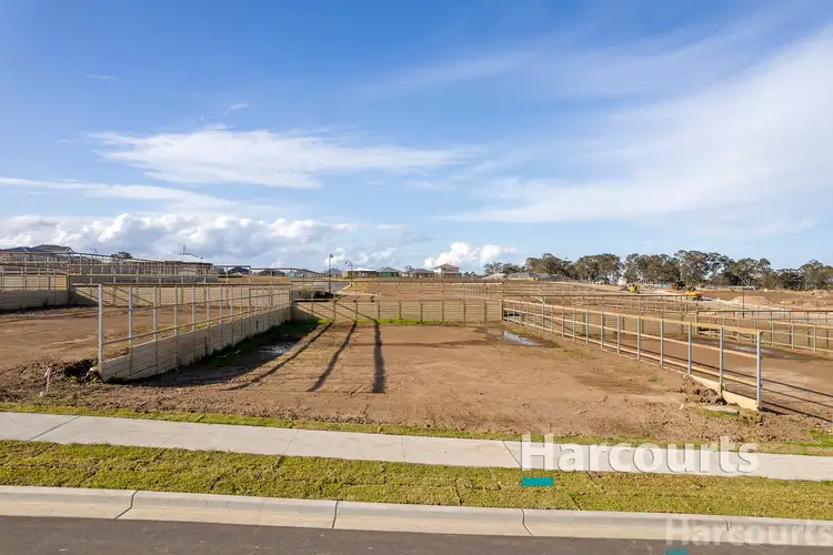 17 Steamcruiser Drive, Chisholm NSW 2322