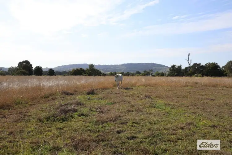 Seventh view of Homely rural property listing, 43 Rasmussen Rd, Coolana QLD 4311