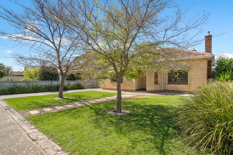 57 Murray Street, Albert Park SA 5014