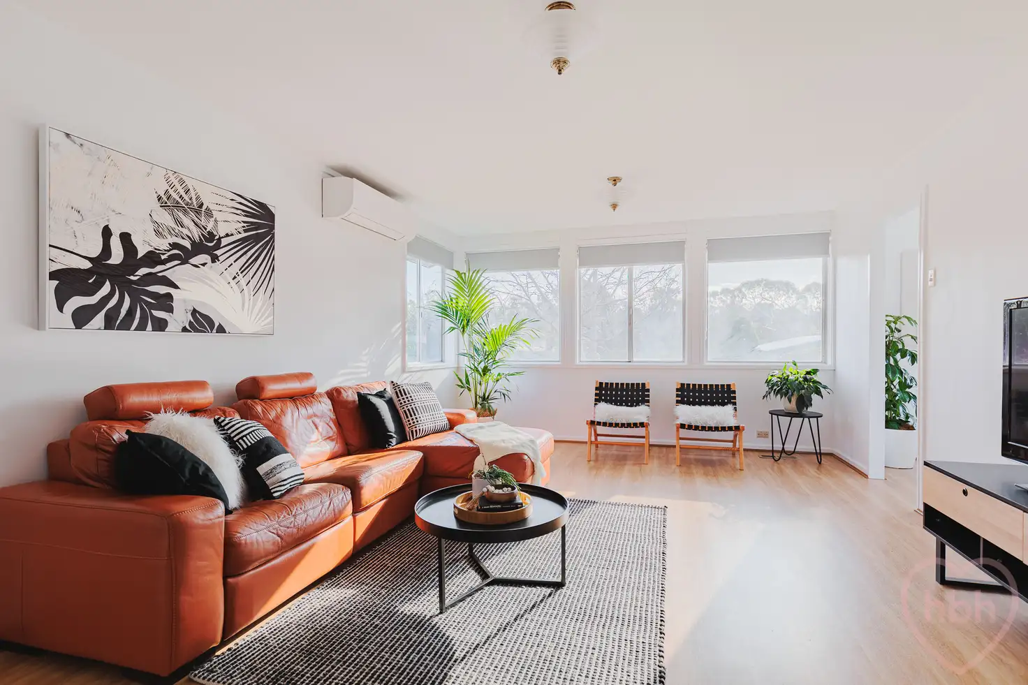 Main view of Homely house listing, 16 Chubb Place, Latham ACT 2615