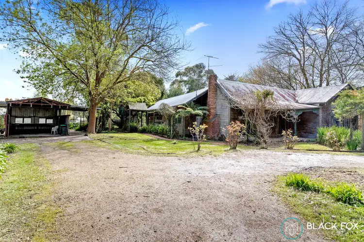 Fifth view of Homely house listing, 14 Johnson Street, Balnarring VIC 3926