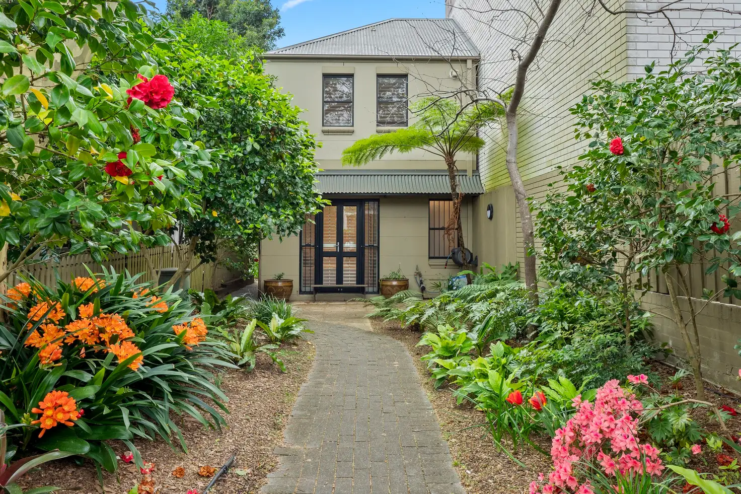 Main view of Homely townhouse listing, 53a Hereford Street, Glebe NSW 2037