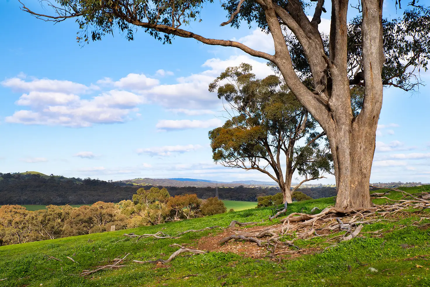 Main view of Homely land listing, 149 Davies Road, Walmer VIC 3463