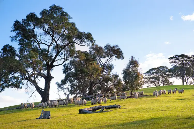 Sixth view of Homely land listing, 149 Davies Road, Walmer VIC 3463