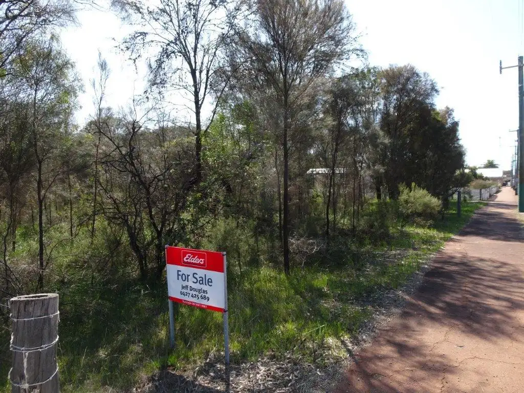 Main view of Homely land listing, 132 & 134 Francis Street, Popanyinning WA 6309