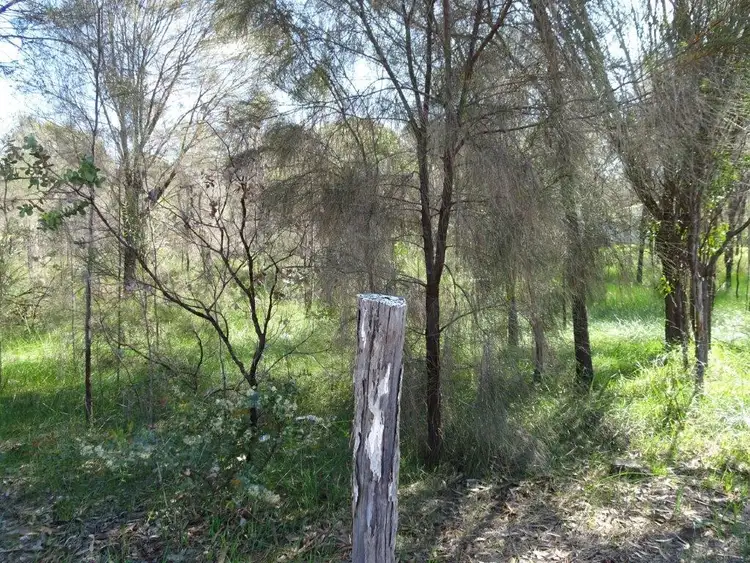 Seventh view of Homely land listing, 132 & 134 Francis Street, Popanyinning WA 6309