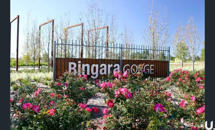 10 Burgess Street, Wilton NSW 2571