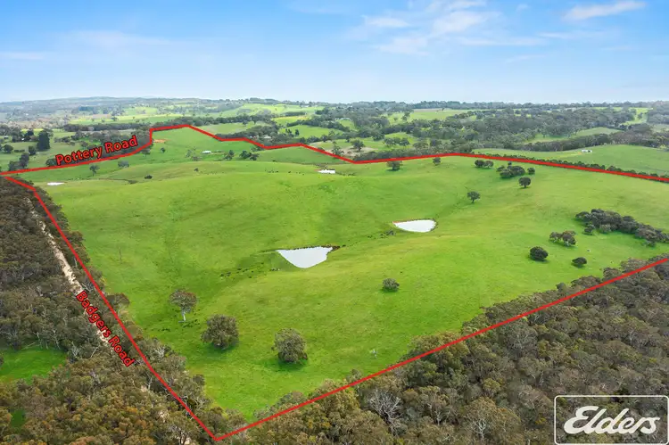 Main view of Homely rural property listing, 192 Pottery Road, The Range SA 5172