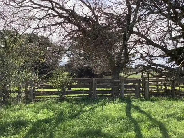 Fifth view of Homely rural property listing, Lot 1-4 Galatea Road, Scarsdale VIC 3351