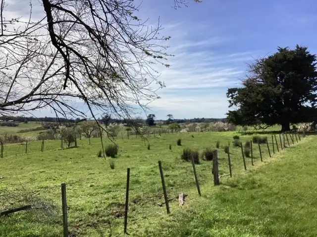 Sixth view of Homely rural property listing, Lot 1-4 Galatea Road, Scarsdale VIC 3351