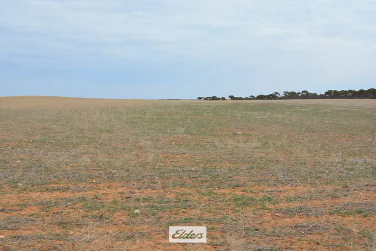 Fifth view of Homely rural property listing, 25 Pallarang – Minifie Road, Cowangie VIC 3506