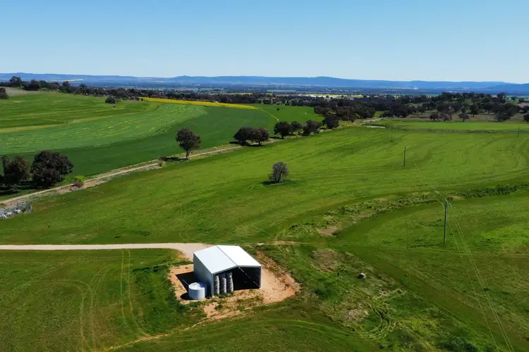 Main view of Homely rural property listing, 506 Binni Creek Road, Cowra NSW 2794