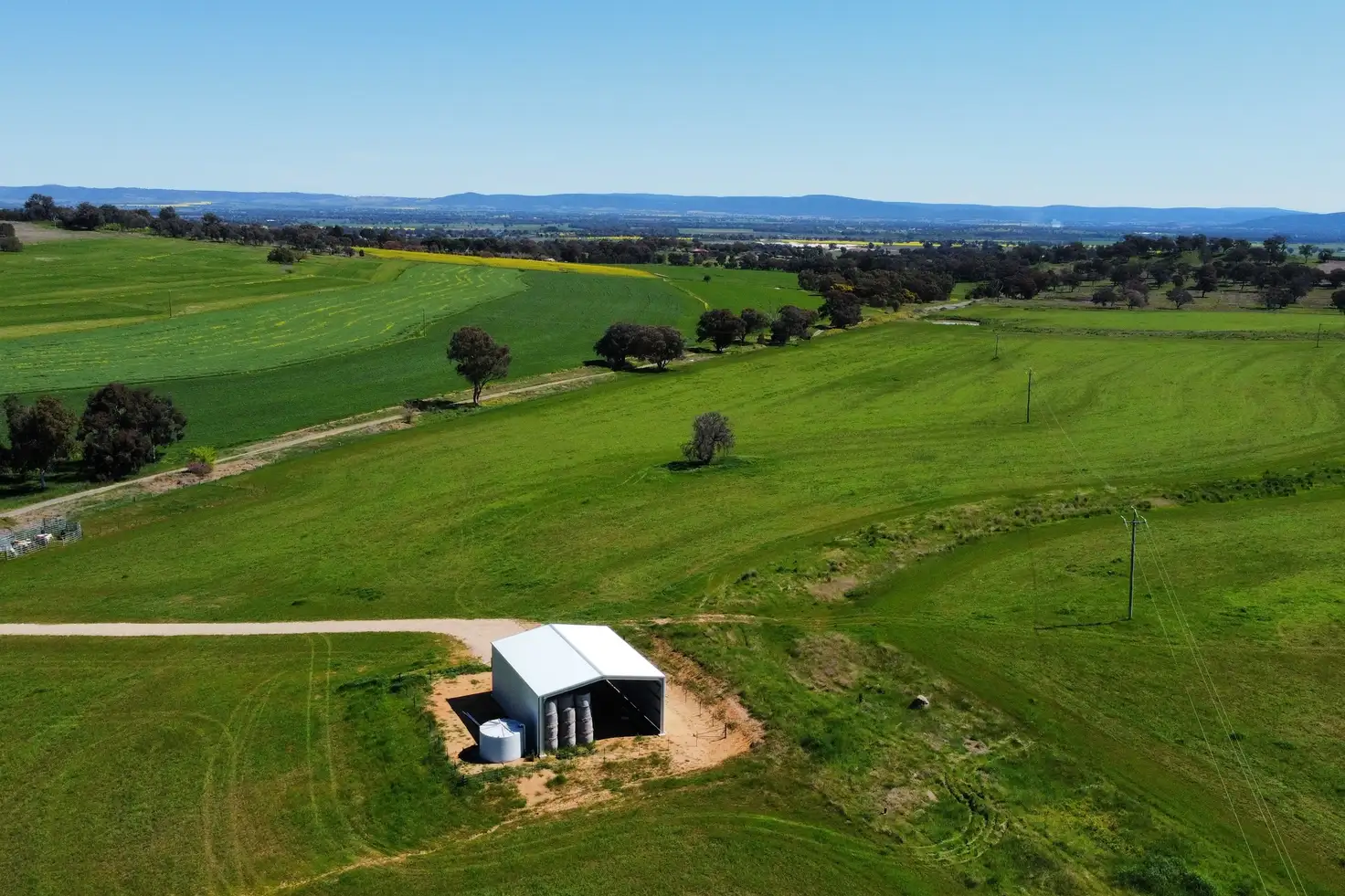 Main view of Homely rural property listing, 506 Binni Creek Road, Cowra NSW 2794