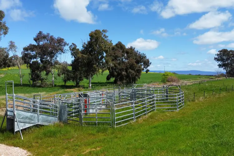 Sixth view of Homely rural property listing, 506 Binni Creek Road, Cowra NSW 2794