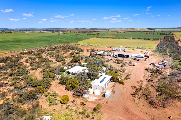 2451 Mullewa-Wubin Road, Mullewa WA 6630